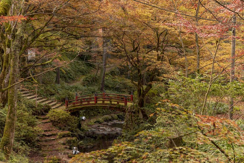 横蔵寺の紅葉