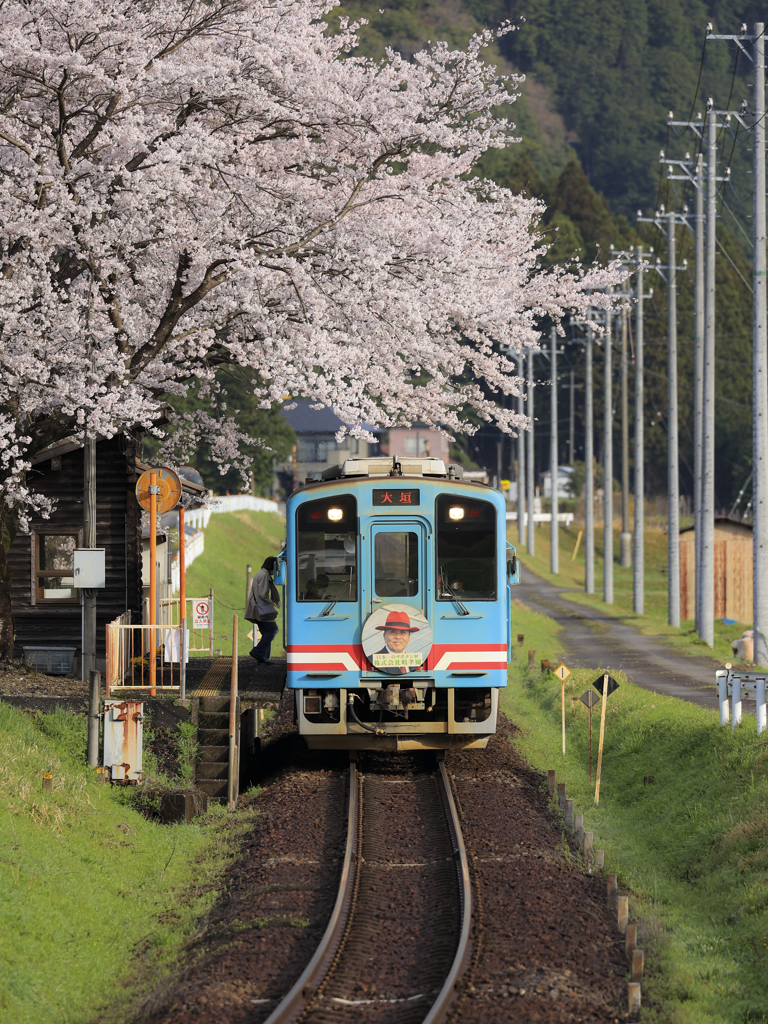 樽見鉄道高科駅 by gifunotaka （ID：11676000） - 写真共有