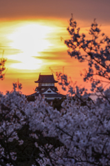 夕暮れの犬山城