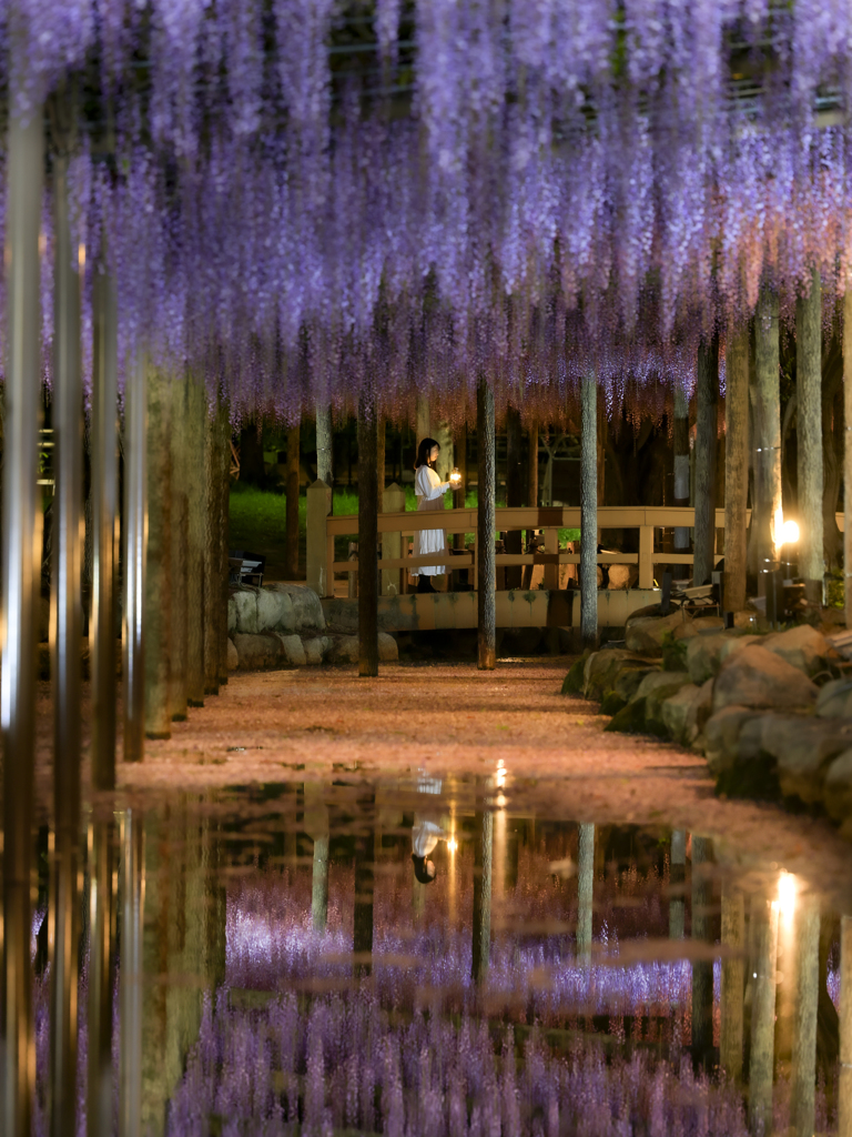 天王川reflection