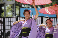 ど真ん中祭り2019