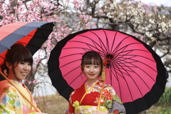 梅と華