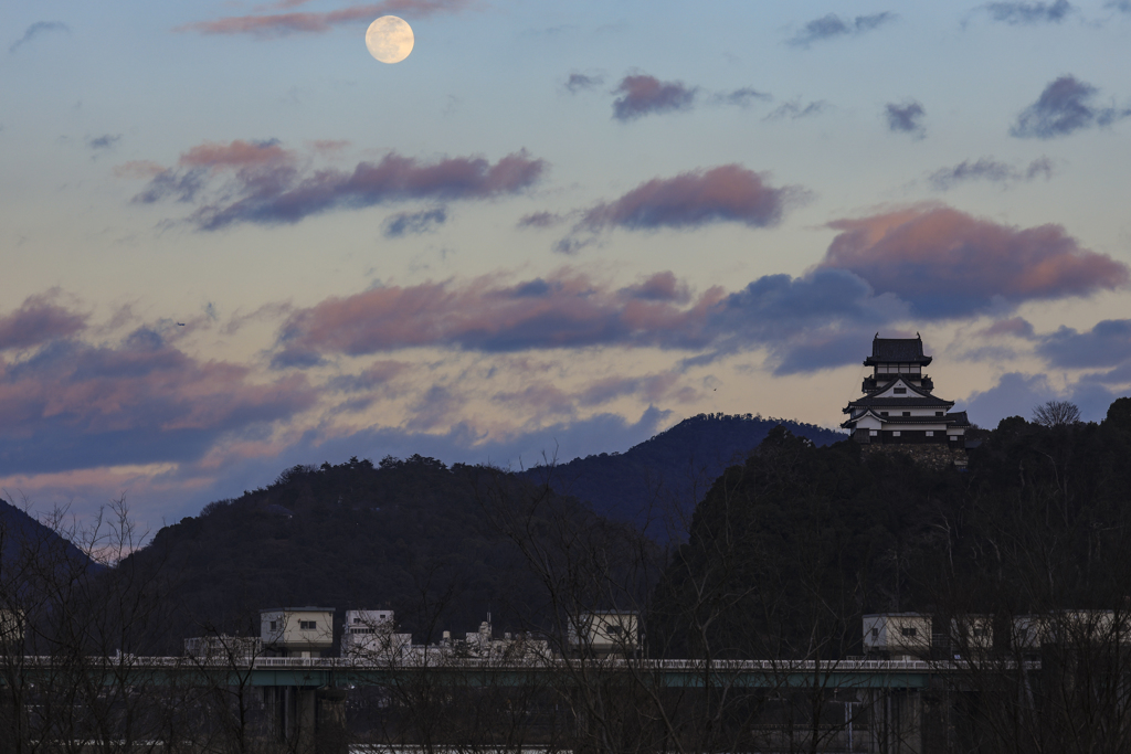 犬山城と月