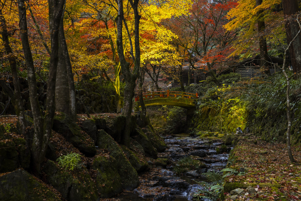 両界山横蔵寺の紅葉