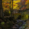 両界山横蔵寺の紅葉