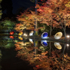 reflection