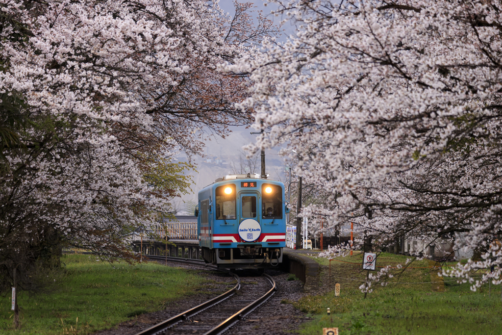 樽見鉄道谷汲口駅