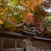 大矢田神社