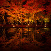 逆さ紅葉