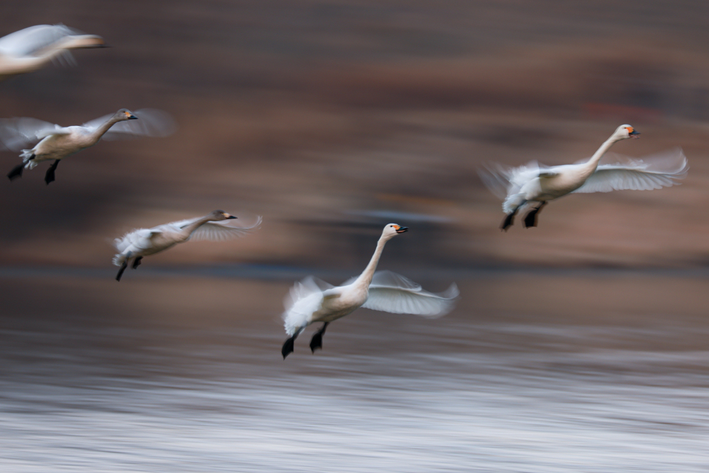 Water landing