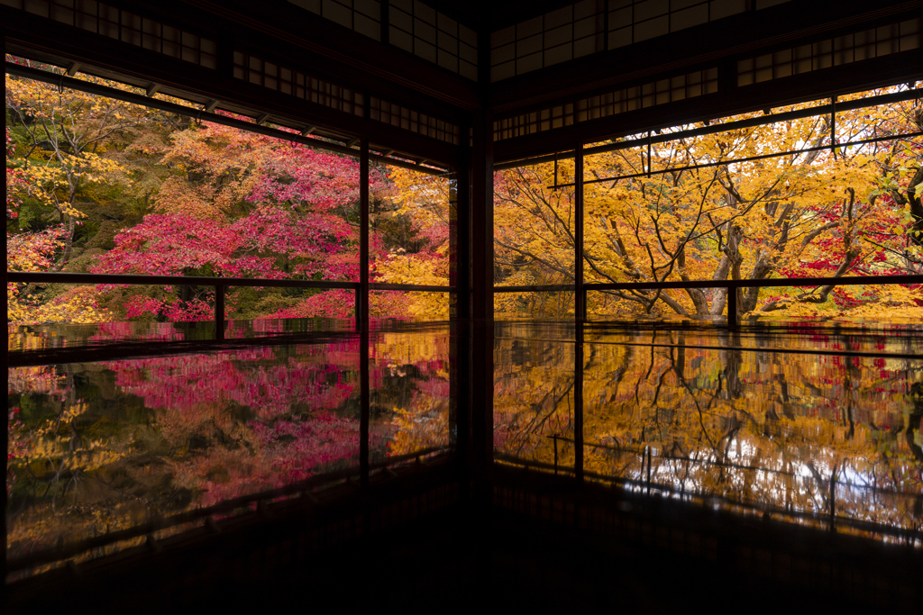 瑠璃光院の紅葉