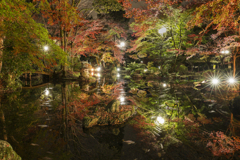 晩秋の岐阜公園