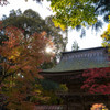 大矢田神社楼門2