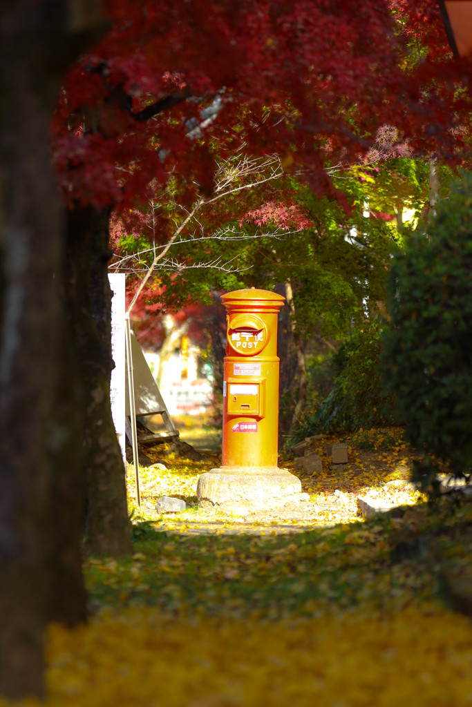 紅葉と郵便ポスト