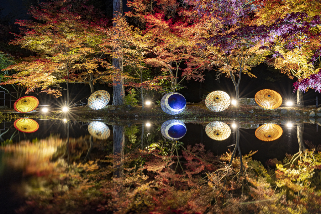 reflection2