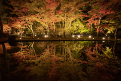 曽木公園逆さもみじ