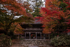 大矢田神社