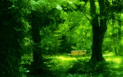 森のベンチ2