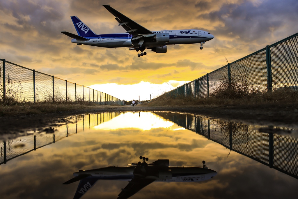 空と水面を泳ぐトリプル ✈︎