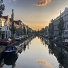 Gouda