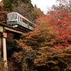 紅葉を走る叡山電車
