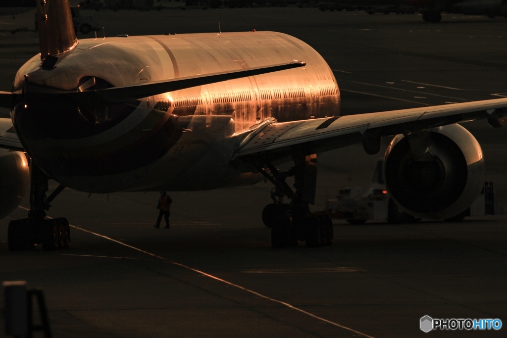 Thai Airways ✈️