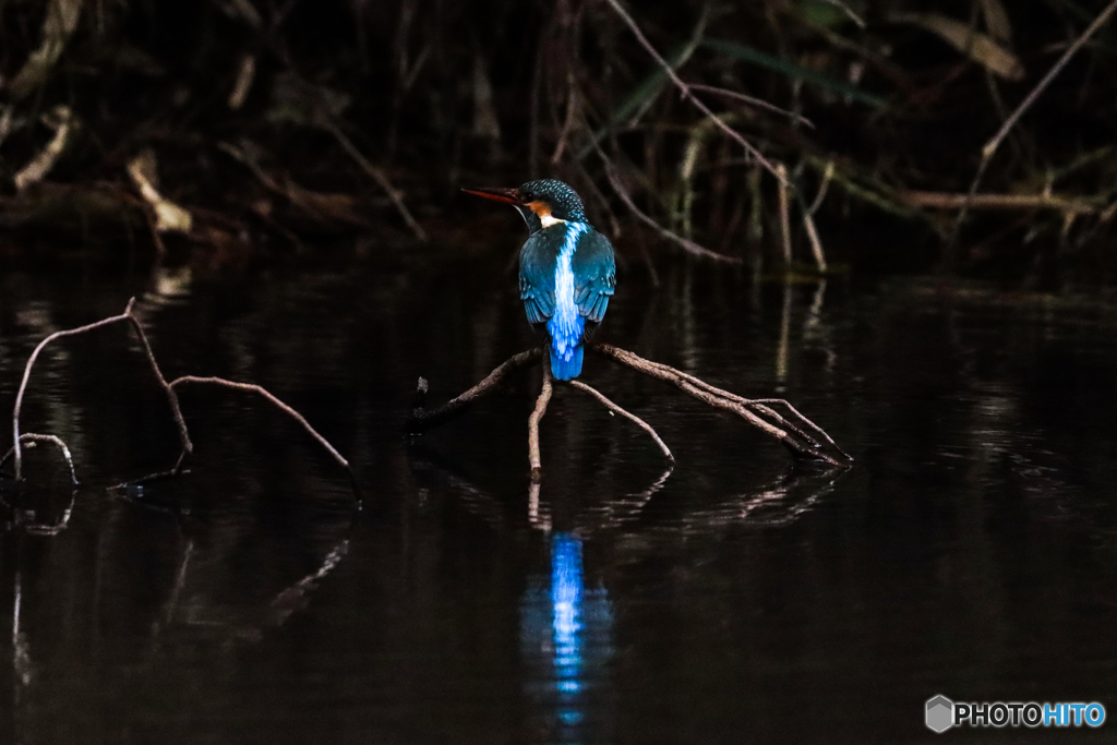 Blue Reflection