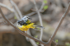 背後確認