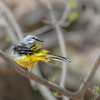 背後確認