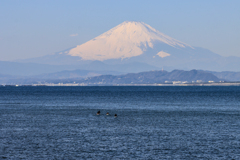 冬の江ノ島海岸
