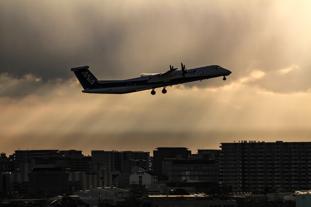 光のシャワー ✈️