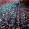 wine glasses♬