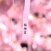 恋占い (ღ′◡︎‵)