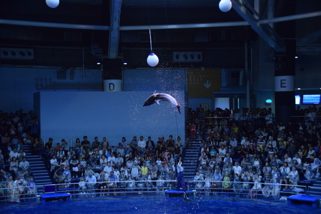 水族館