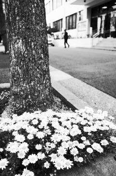 street