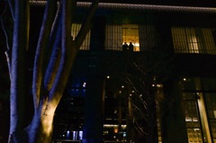 lightened window