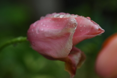 終焉ー４