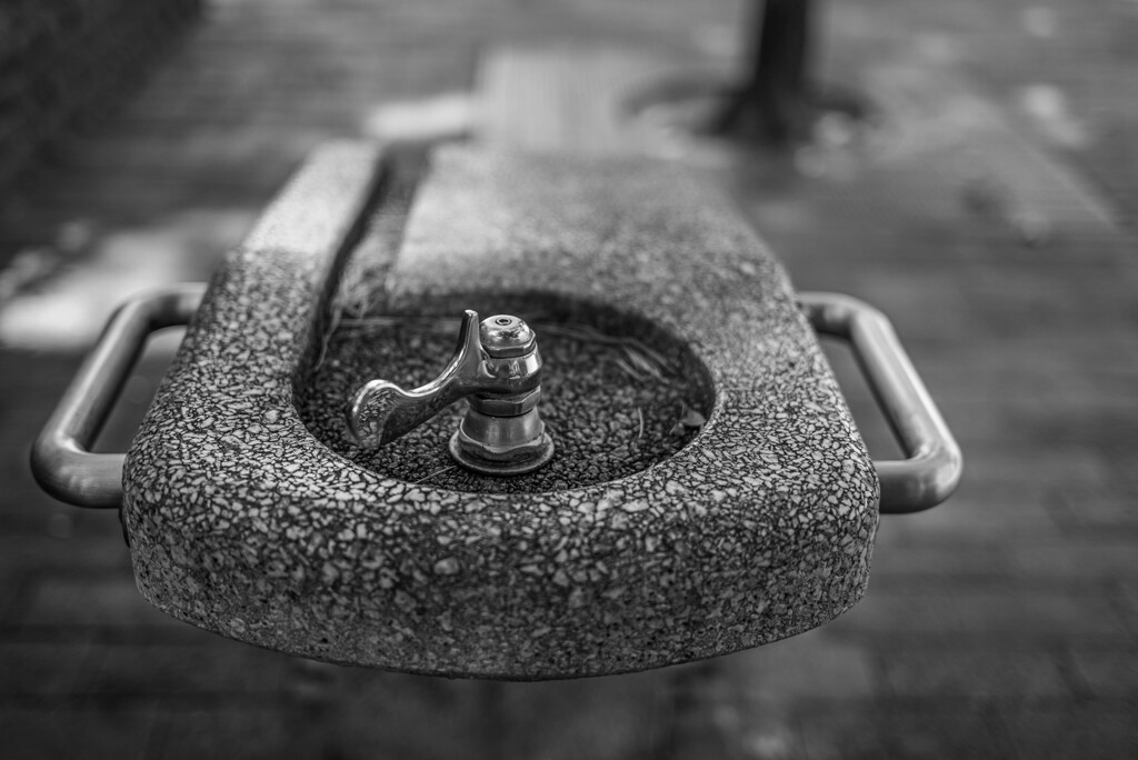 試し撮り（３）