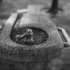 試し撮り（３）