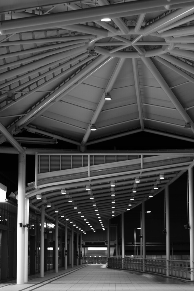 広島駅北口午前2時-2