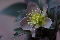 relieve my anxiety（私の不安をやわらげて）