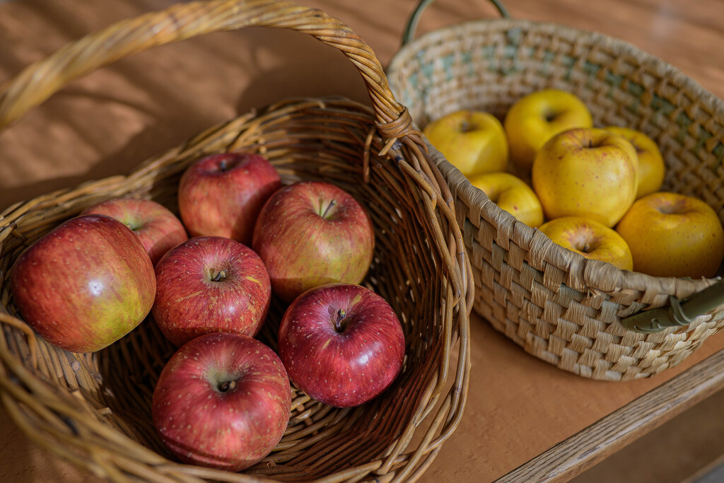 岩手からの便りー「ふじ」と「はるか」