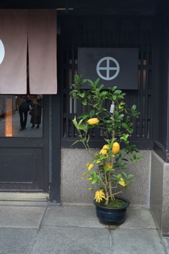 京都にてー１