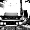 酷暑灼ける