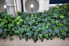 試し撮り（６）