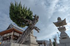 呉伏原神社-3