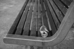 試し撮り（４）