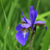 5月5日