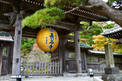 長谷寺