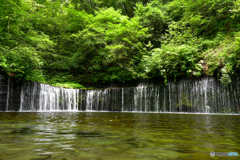 白糸の滝